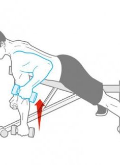 Press up, Arm, Bench, Weights, Joint, Leg, Shoulder, Exercise equipment, Physical fitness, Muscle, 