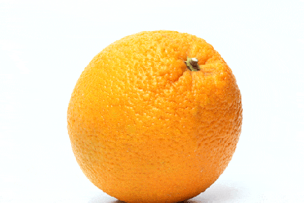 Yellow, Citrus, Orange, Fruit, Produce, Ingredient, Natural foods, Peach, Food, Line, 