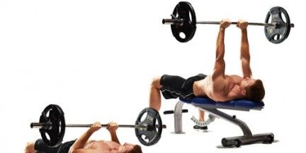 Weights, Exercise equipment, Human leg, Physical fitness, Chin, Shoulder, Wrist, Chest, Weight training, Joint, 
