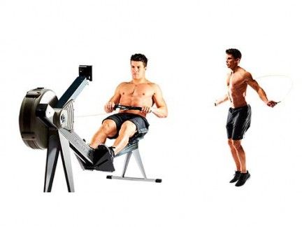 Shoulder, Human leg, Joint, Standing, Elbow, Knee, Muscle, Shorts, Exercise equipment, Sitting, 
