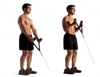 cable rope hammer curl