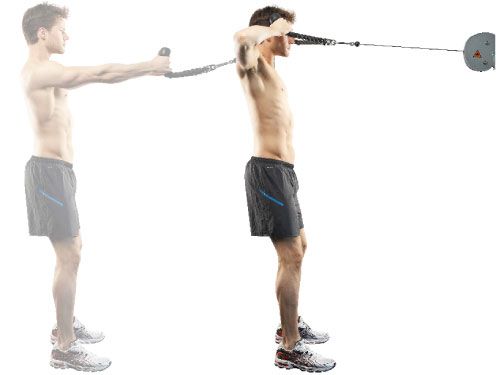 cable face pulls