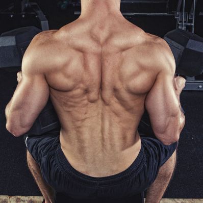 Back Exercises - Muscle Building Tips and Shortcuts