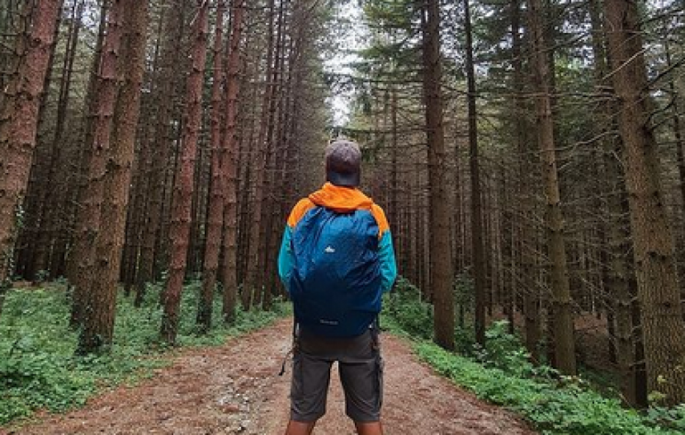 Zaino in spalla trekking online