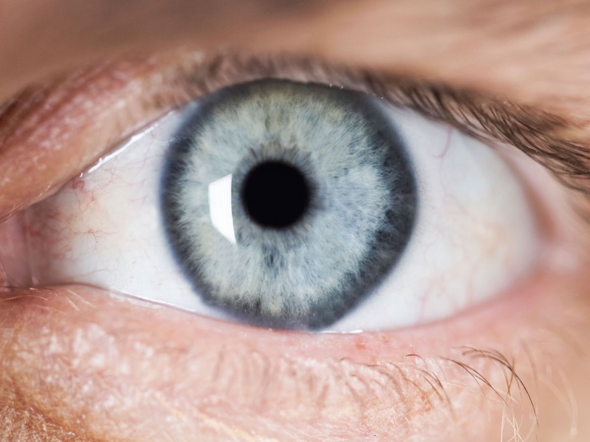 Black Spot in the Eyes - Eye Floaters - Centre For Sight