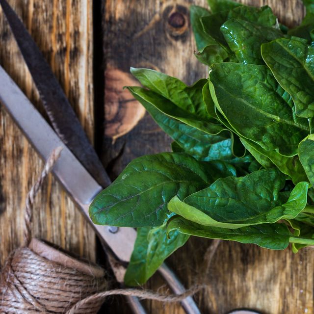 Fresh organic spinach on wooden background