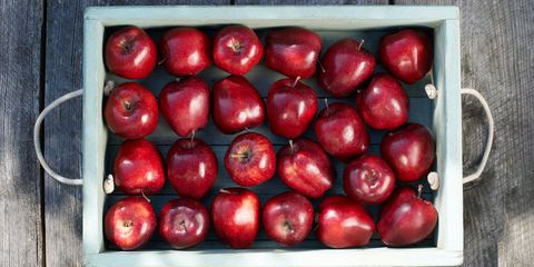 Full tray of freshly picked apples.