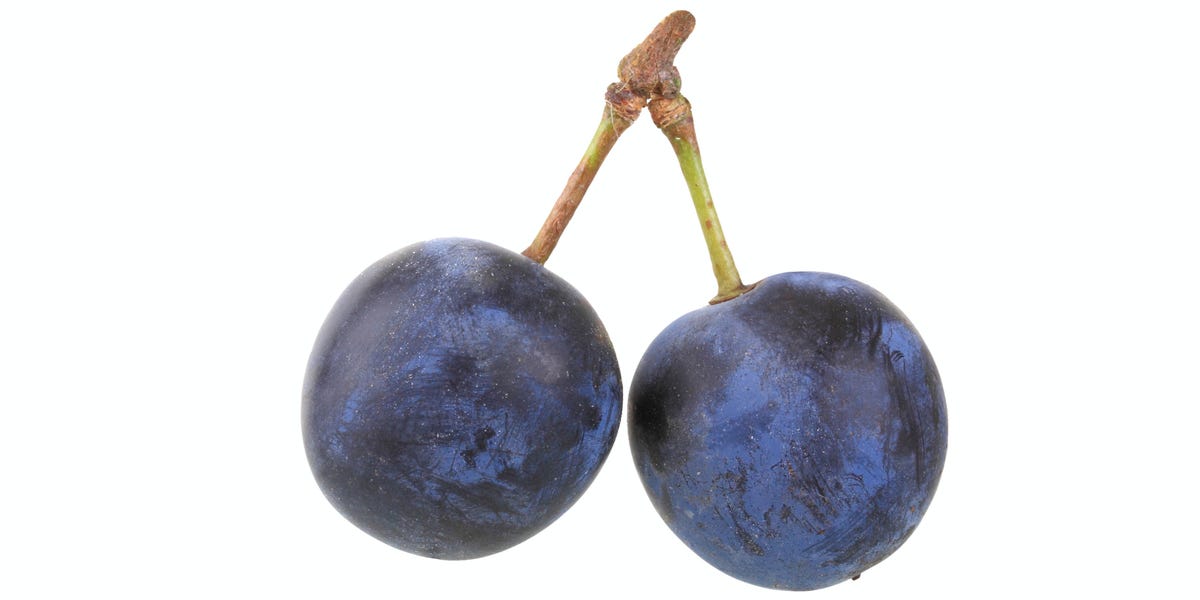 Cucchiaro recommends best of Tank level balls testicles sperm Bolivar recommend Photos naked women in bondage