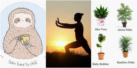 Pinterest 100 wellness trends 2018