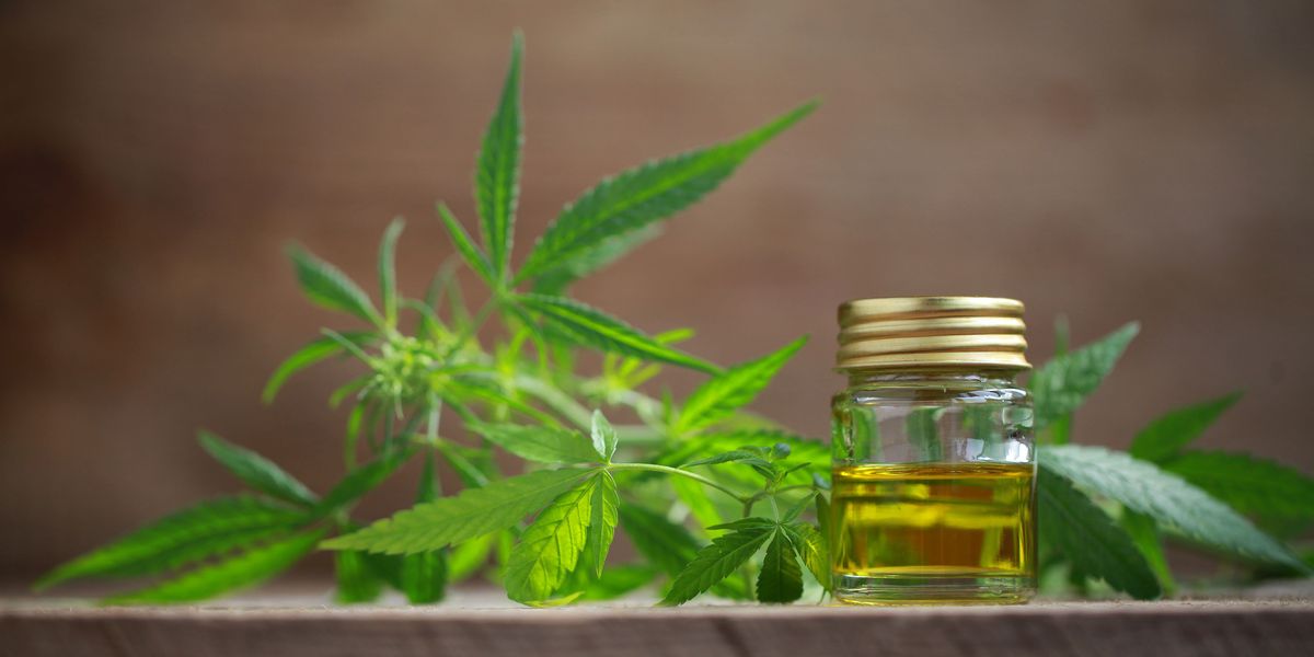CBD Oil Advantages Your Mind By Selling The Expansion Of Nerve Cells And The Rise In Neurotransmitters Within The Mind 2
