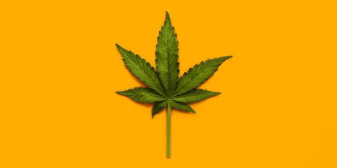Cannabis leaf yellow background