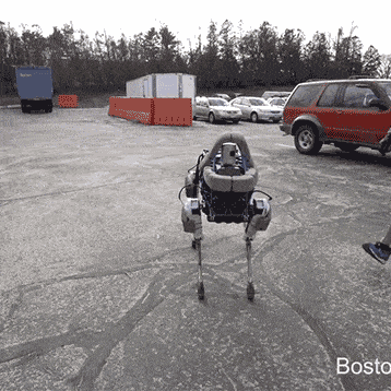 11 Weird Robots That Make Us Laugh, Cringe, and Say 'Whoa'