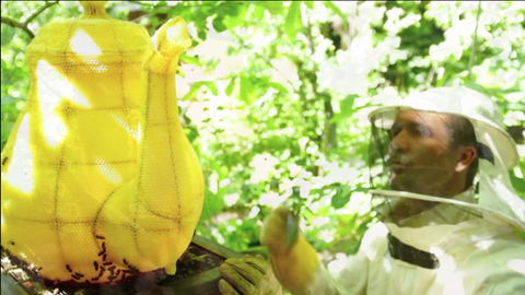 This Tea Kettle was Made by 60,000 Bees