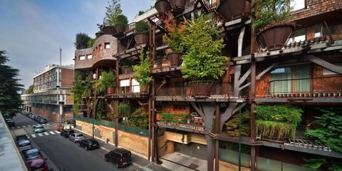 urban treehouse