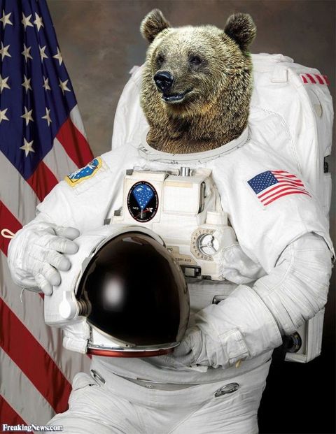 astronaut bear plush