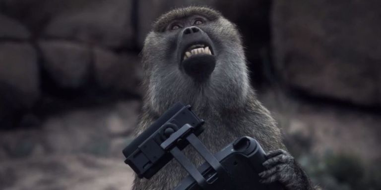 Image result for 2001 monkeys