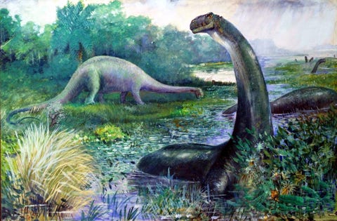 Brontosaurus Is Back New Study Says The Dino Is Real After All - 