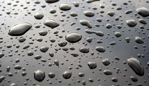 Water Droplets on Car Hood