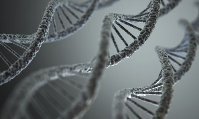 3 Scientists Win Chemistry Nobel Prize for Finding Out How Broken DNA ...