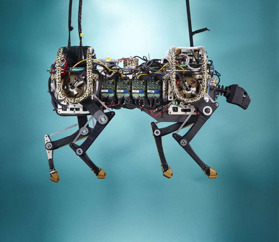 This Cheetah Robot Taught Itself How to Sprint in a Weird Way