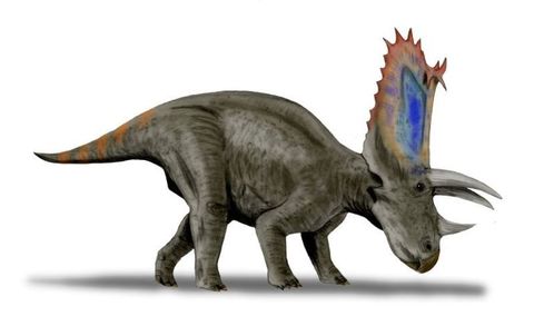 dinosaur with horn on snout