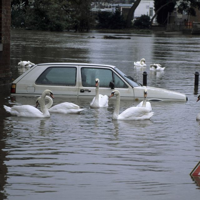 Flooded car