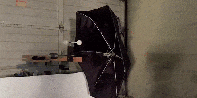 Finally, An Umbrella That's Tough Enough for a Wind Storm