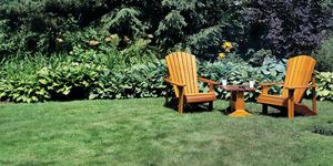Lawn, Chair, Grass, Garden, Furniture, Tree, Natural landscape, Botany, Shrub, Leaf, 