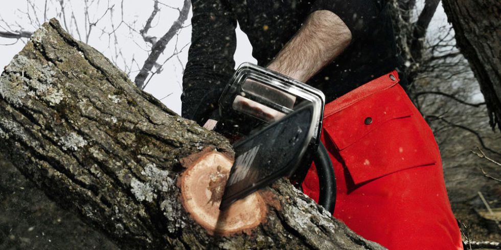 Stihl Chainsaw Reviews With Echo, Husqvarna, & Jonsered echo chainsaw fuel filter 