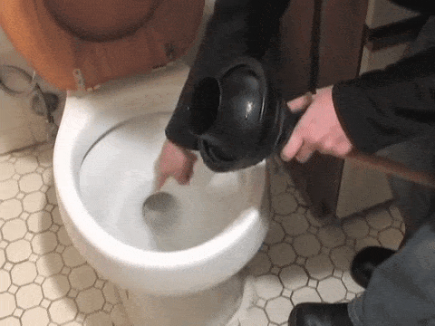 how to use a toilet plunger