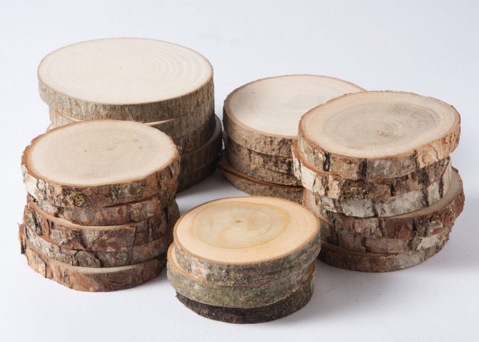 Wood, Tree, Tree stump, Trunk, Table, Dairy, Tableware, 