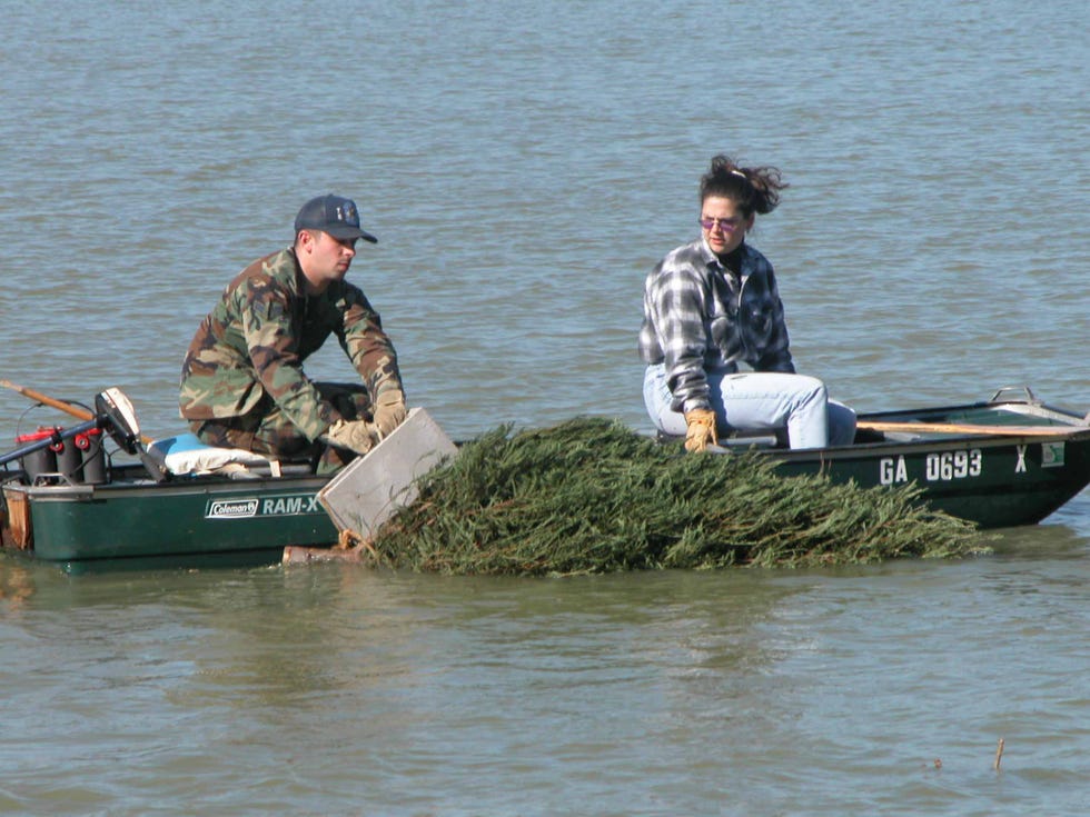 Water transportation, Vehicle, Boat, Water, Recreation, Boating, Watercraft, Jon boat, Skiff, River, 