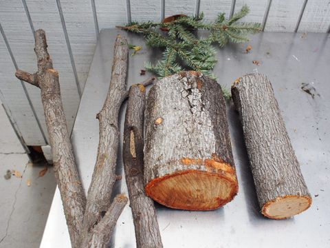 Wood, Twig, Natural material, Rust, 