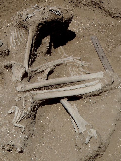 prehistoric-massacre-woman-remains.jpg