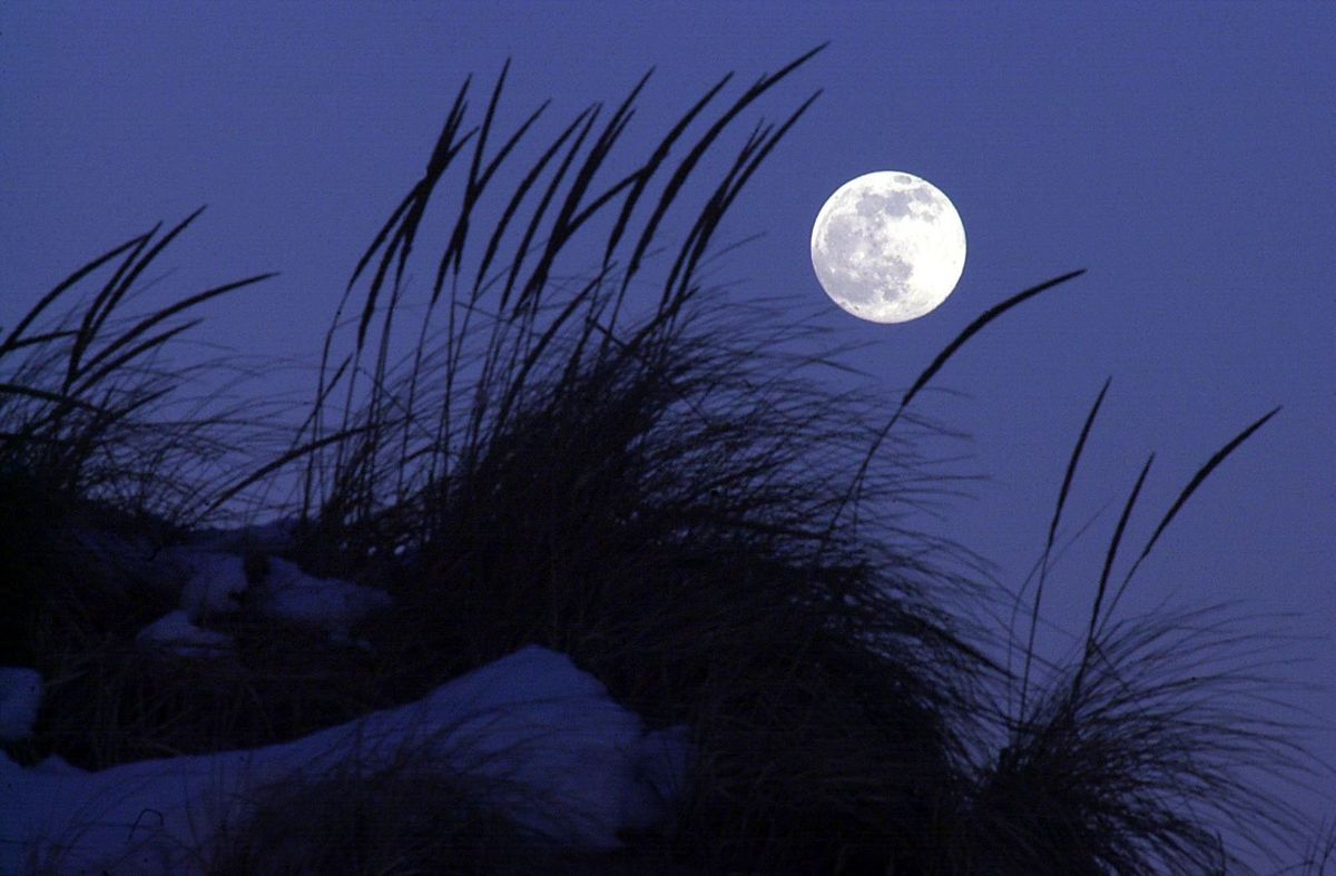 full-moon-jersey-shore.jpg