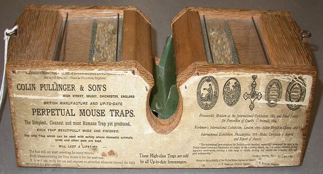 Paleo Man Mouse Trap. Making Arrowheads & Catching Mice. Mousetrap