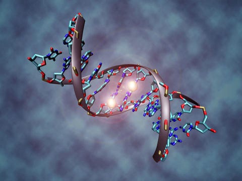 Scientists Win Approval to Use Gene Editing Technology on Human Embryos