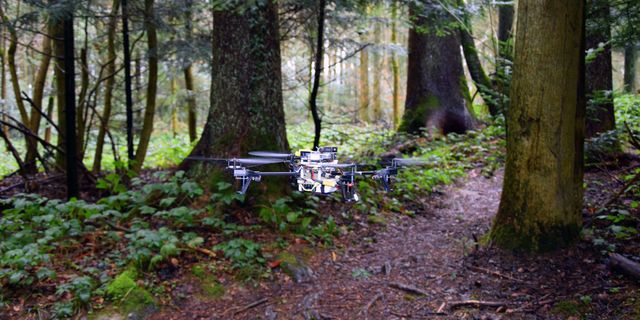 trail-drone.jpg