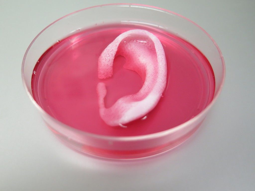 Incredible 3d Printer Can Make Bone Cartilage And Muscle