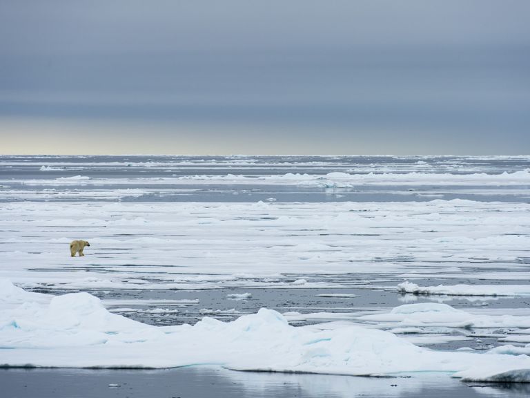 Body of water, Fluid, Natural environment, Liquid, Sea ice, Ice, Polar ice cap, Winter, Ocean, Freezing, 