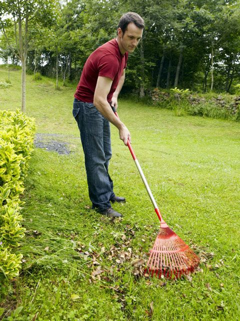 <p>Before you fire up your mower, make a pass through the yard and remove anything that's not grass: sticks, rocks, and wayward golf balls. Not only will this keep you out of the ER, the blades on your mower will remain sharp through fall. </p>