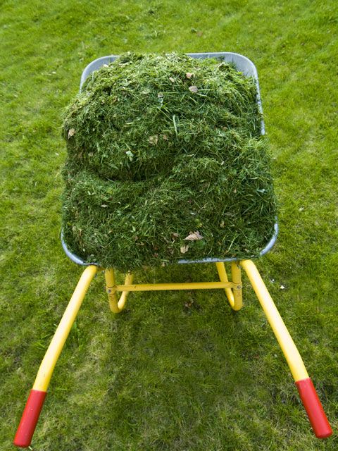 <p>Mulching grass clippings is a great source to return nutrients and nitrogen to your lawn, and since the cut ends are about 85 percent water, they decompose quickly. If you're working with a side-discharging mower, direct the clippings toward the side you've already mowed. The <a href="http://egopowerplus.com" target="_blank">EGO Power+'s three-in-one functionality</a> offers superior mulching, rear bagging, and side discharge. </p>