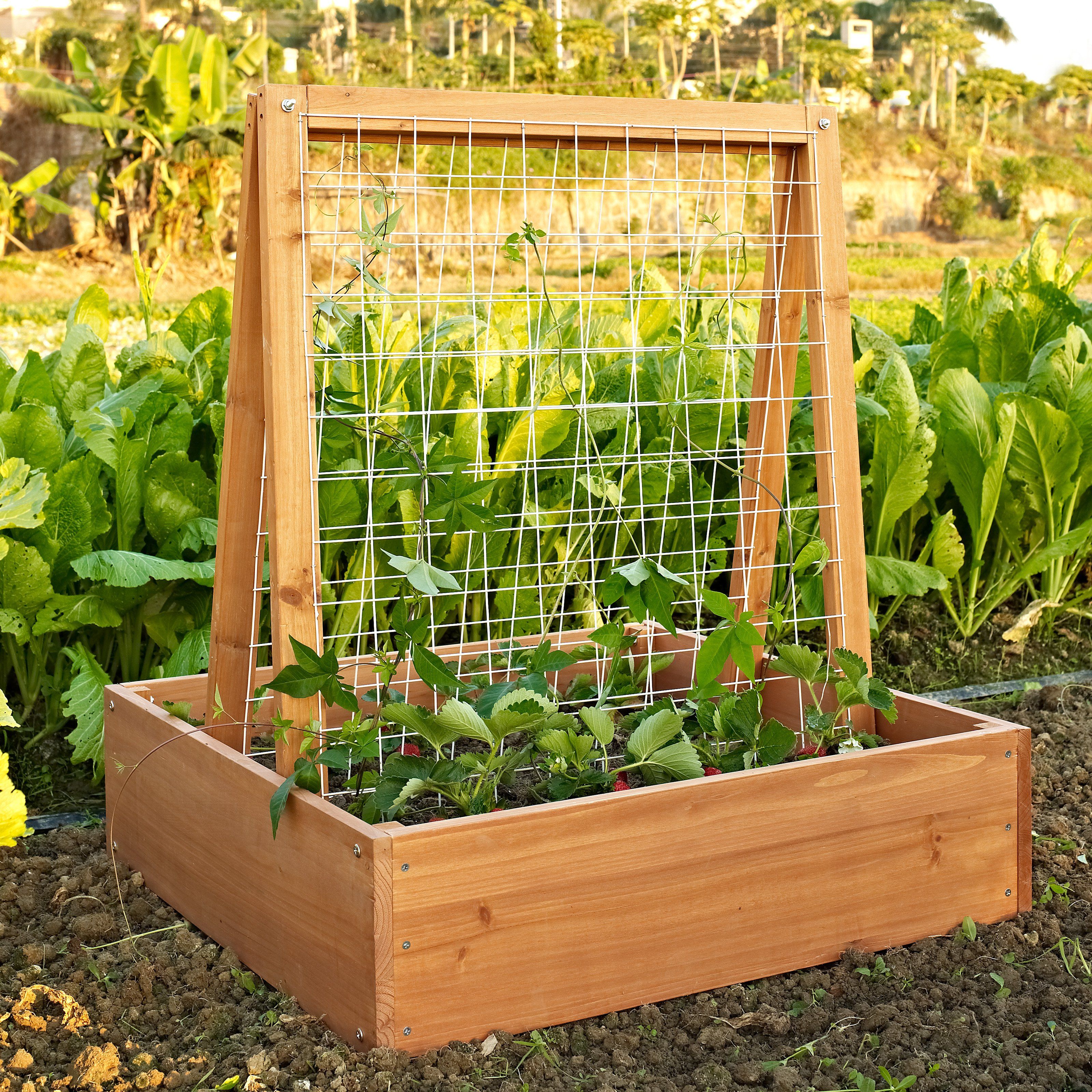 10 Raised Garden Beds That Fit Any Backyard Space