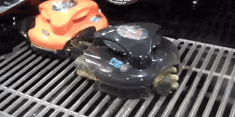 Grillbot automatic grill cleaning robot test review. 