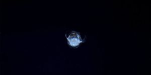 Liquid, Darkness, Night, Space, Circle, Astronomical object, Science, Bioluminescence, 