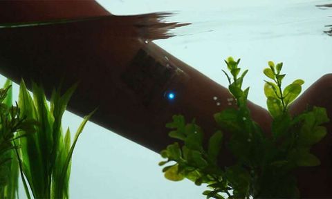 The tiny, flexible battery underwater