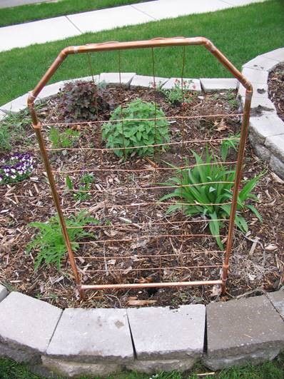 Soil, Groundcover, Garden, Annual plant, Gardening, Herb, Plantation, Stonecrop family, 