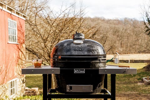 12 Best Grills Of 2017 Outdoor Charcoal Gas And Pellet Bbqs Ike Edeani