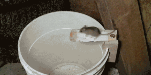 How To Build a Better Mousetrap