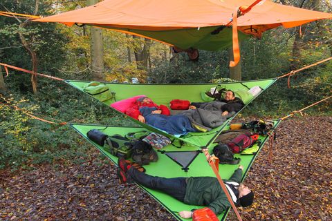 Leaf, Recreation, Camping, Leisure, Style, Outdoor recreation, People in nature, Tints and shades, Deciduous, Forest, 